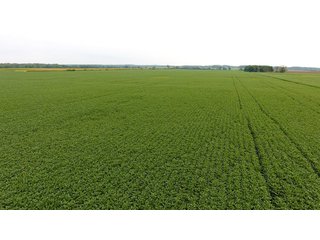 Property photo 33 - IMPORTANT OHIO LAND AUCTION - 325.5+/- ACRES OFFERED IN 8 TRACTS IN PICKAWAY COUNTY, OHIO